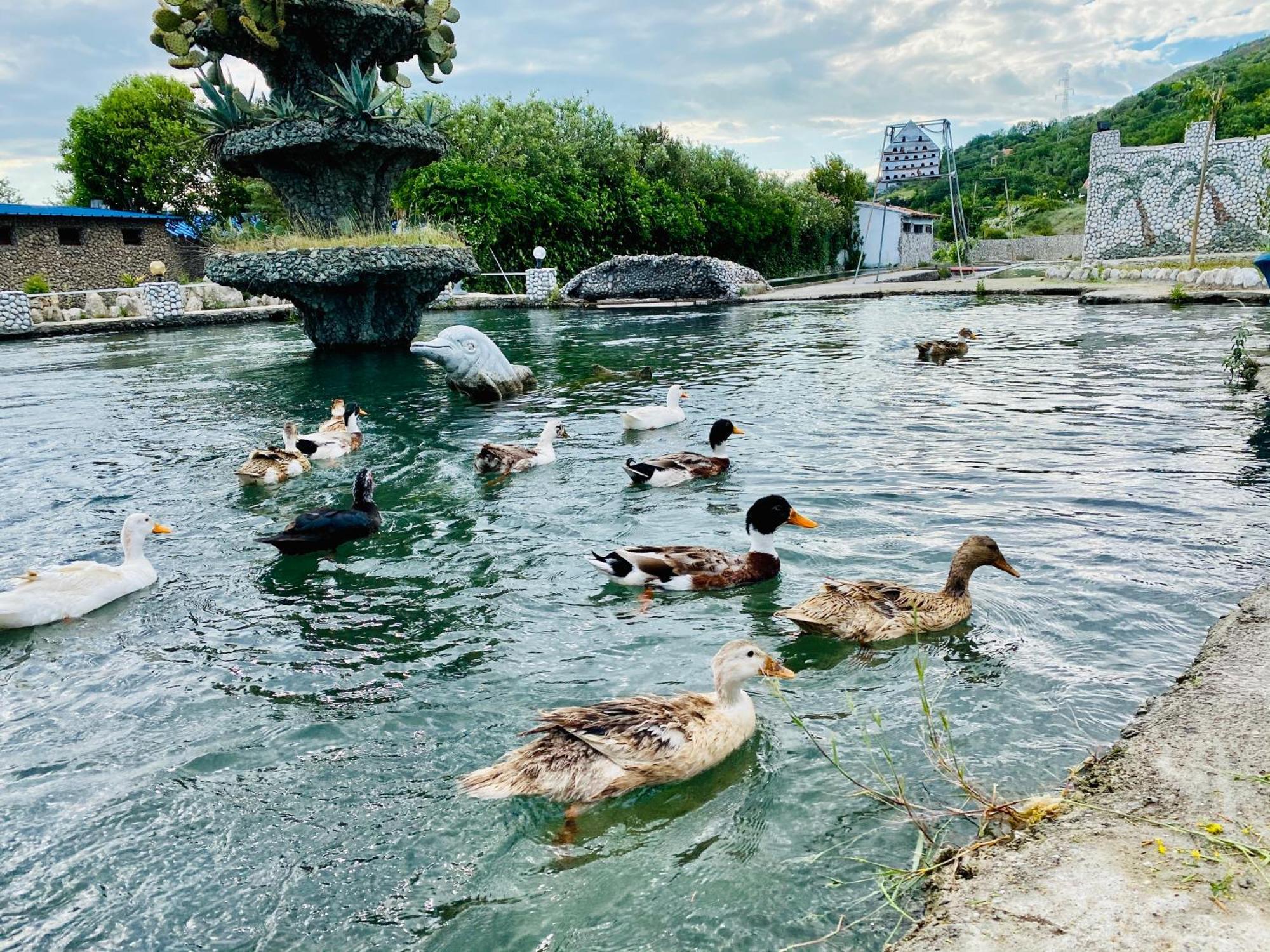 Kompleksi Turistik Dea Mjede Exterior photo
